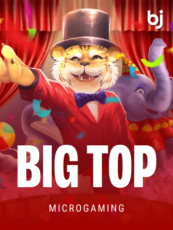 Big Toppng icon